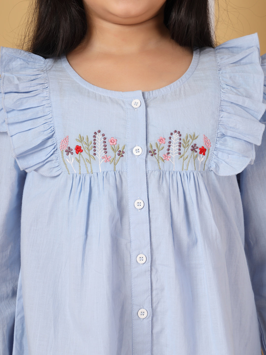 Powder Blue Ruffle Detail Embroidered Top