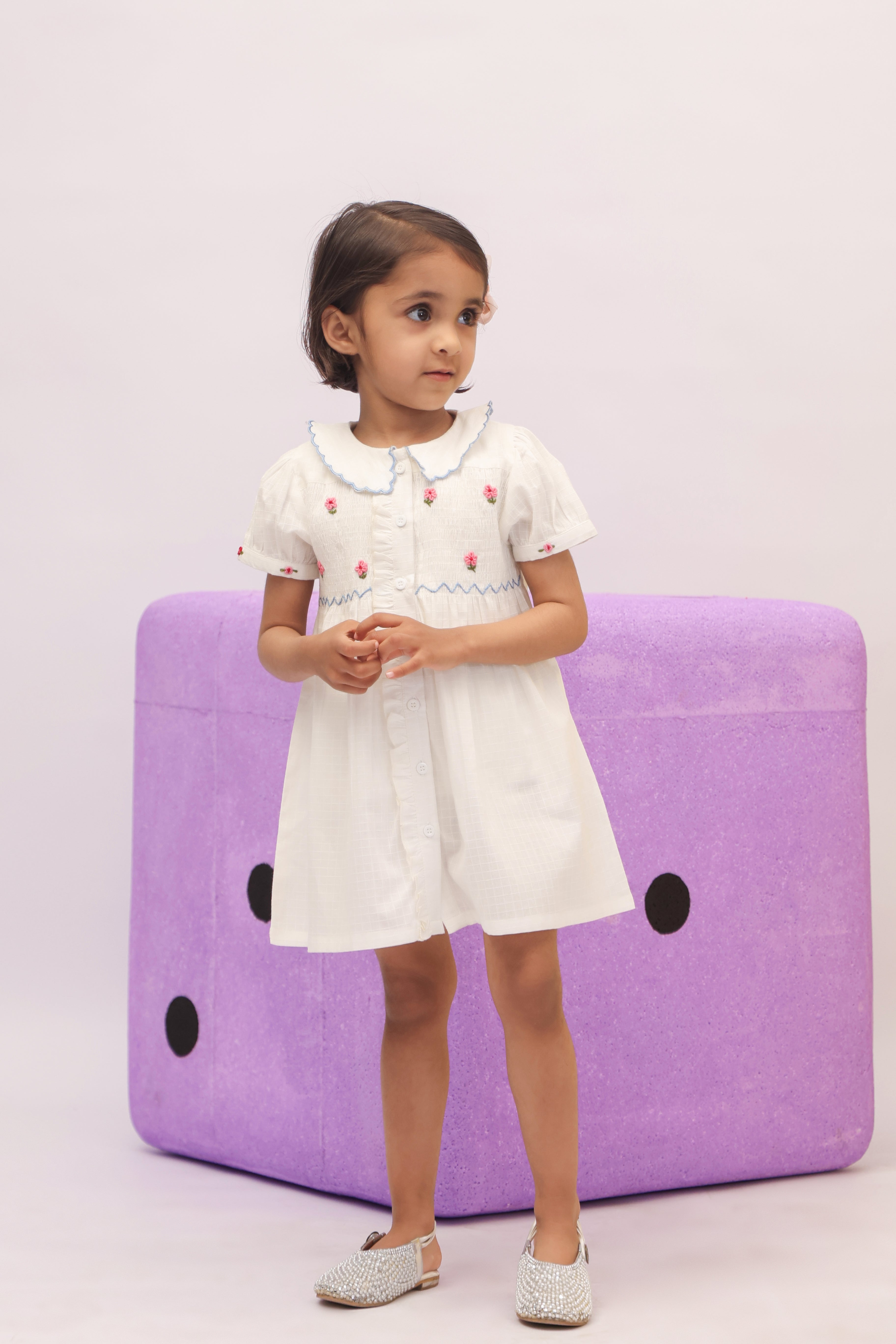 White Embroidered Peter Pan Collar Dress