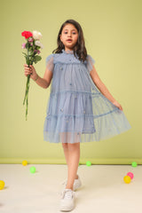 Blue Tulle Floral Embroidery Dress