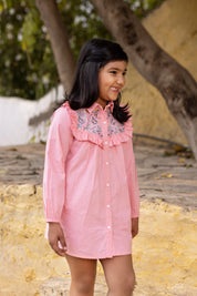Pink Embroidery Dress