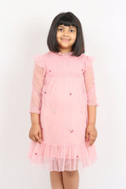 Pink Tulle Embroidery Dress